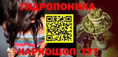 мдма Сланцы