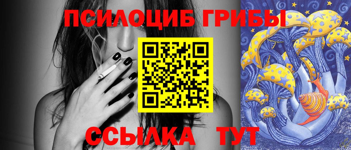 Псилоцибиновые грибы MAGIC MUSHROOMS  Вход с VPN  Павловский Посад  Псилоцибиновые грибы мухоморы 