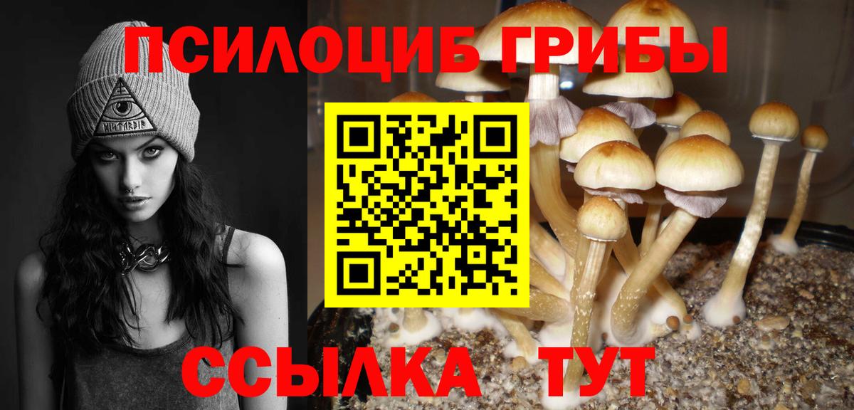 Псилоцибиновые грибы мухоморы Павловский Посад